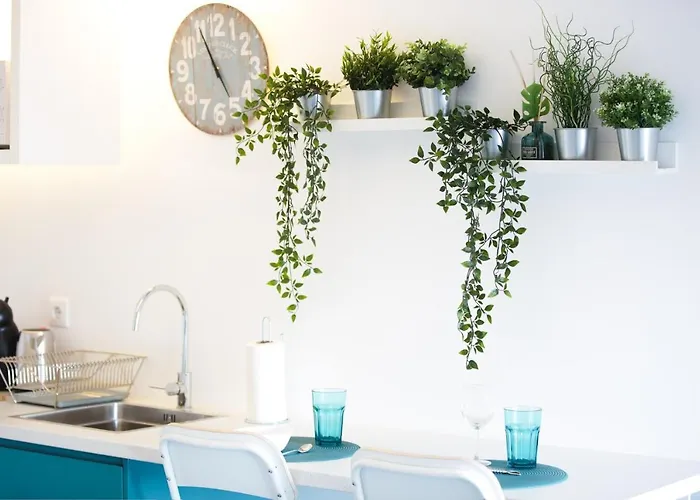 Alegria Cool House * Oporto