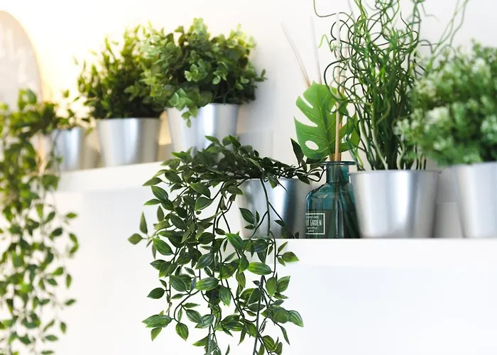 Alegria Cool House * Porto