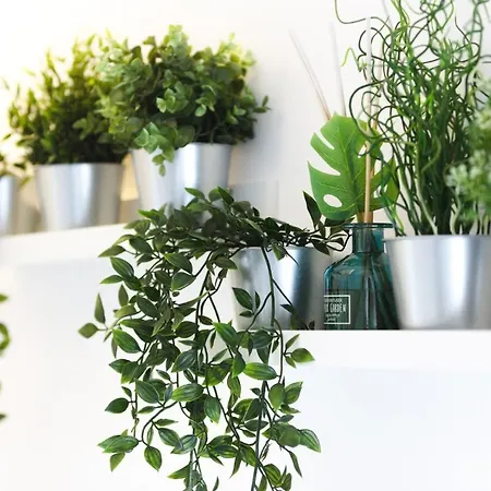 Alegria Cool House * Порту