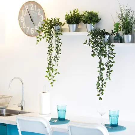 Alegria Cool House * Порту